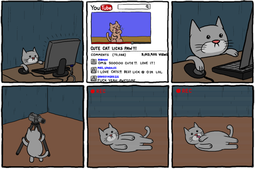 youtube cat
